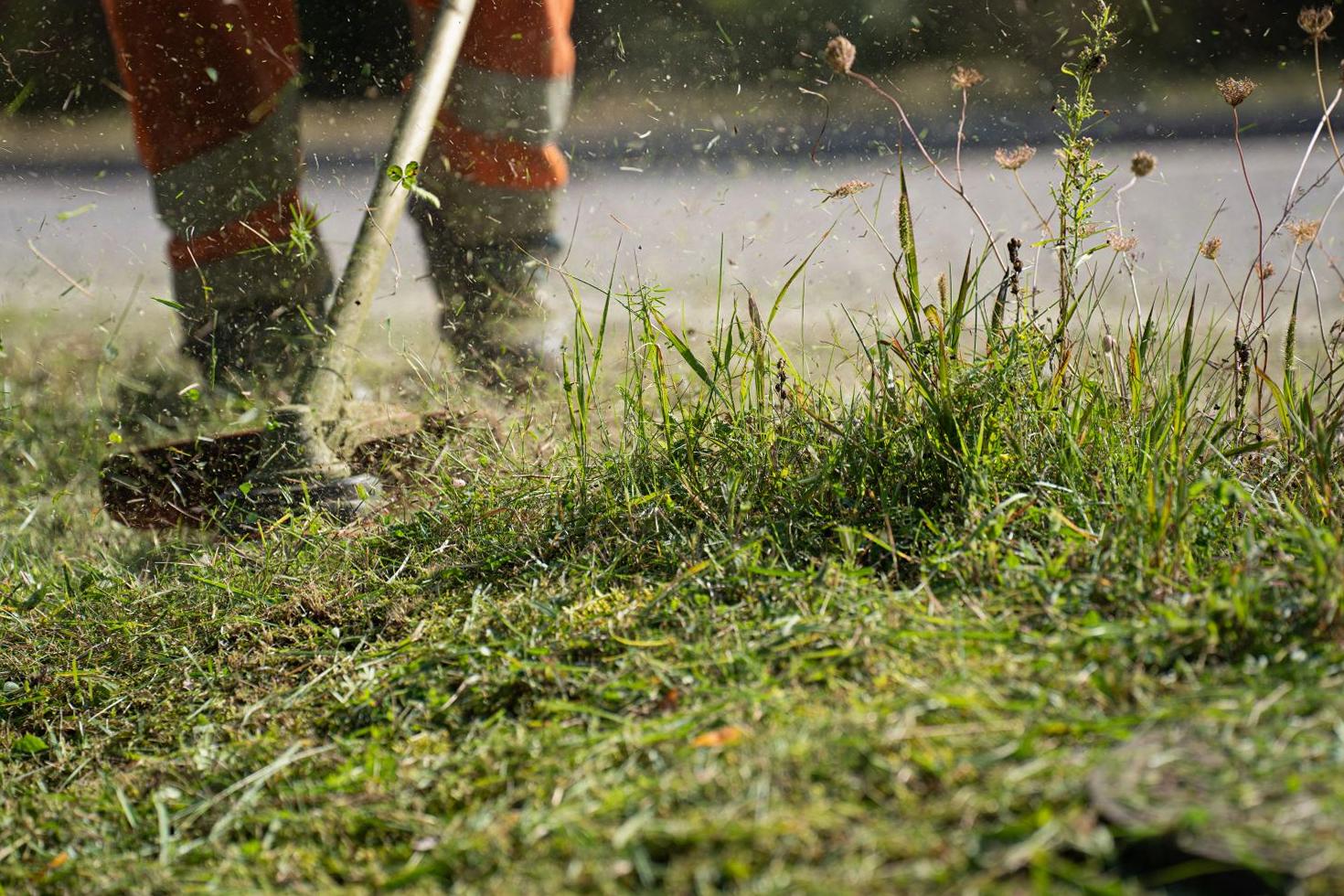 Mowing Action