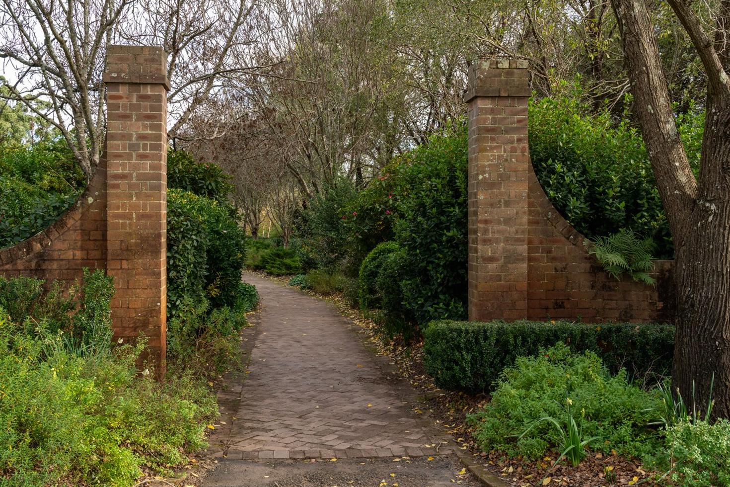 Lush Sydney garden landscape