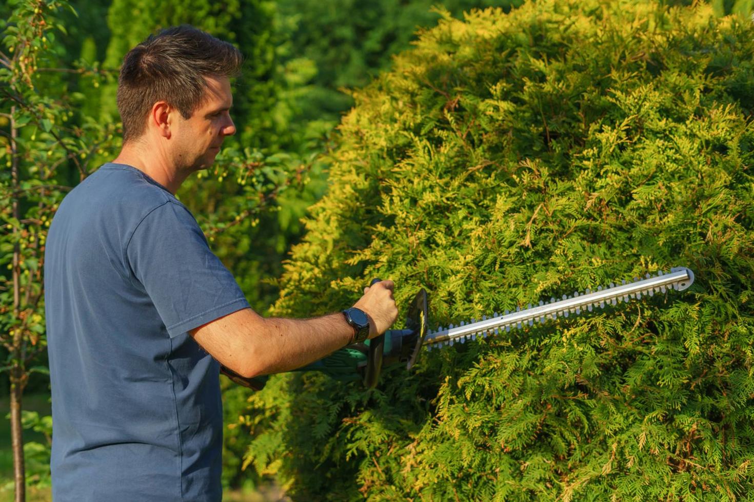 Hedge Trimming Project