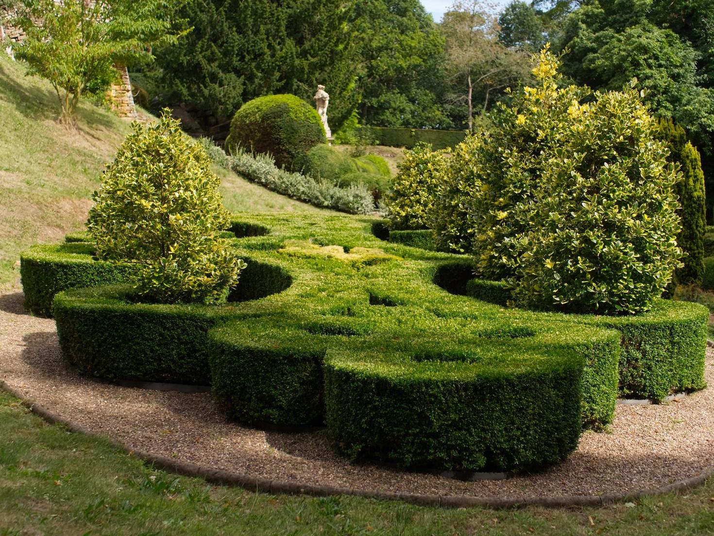Topiary Art