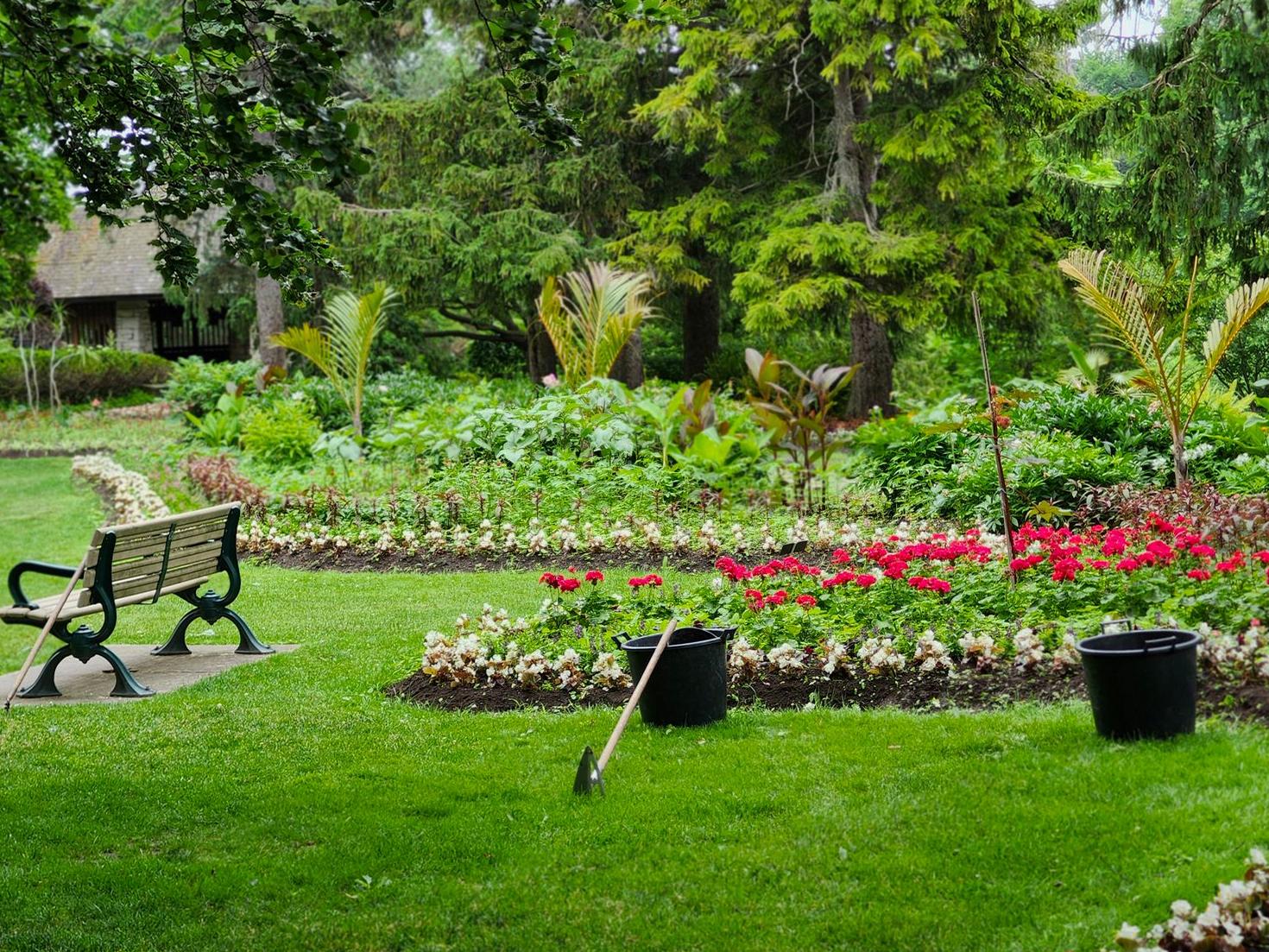 Lush garden after care