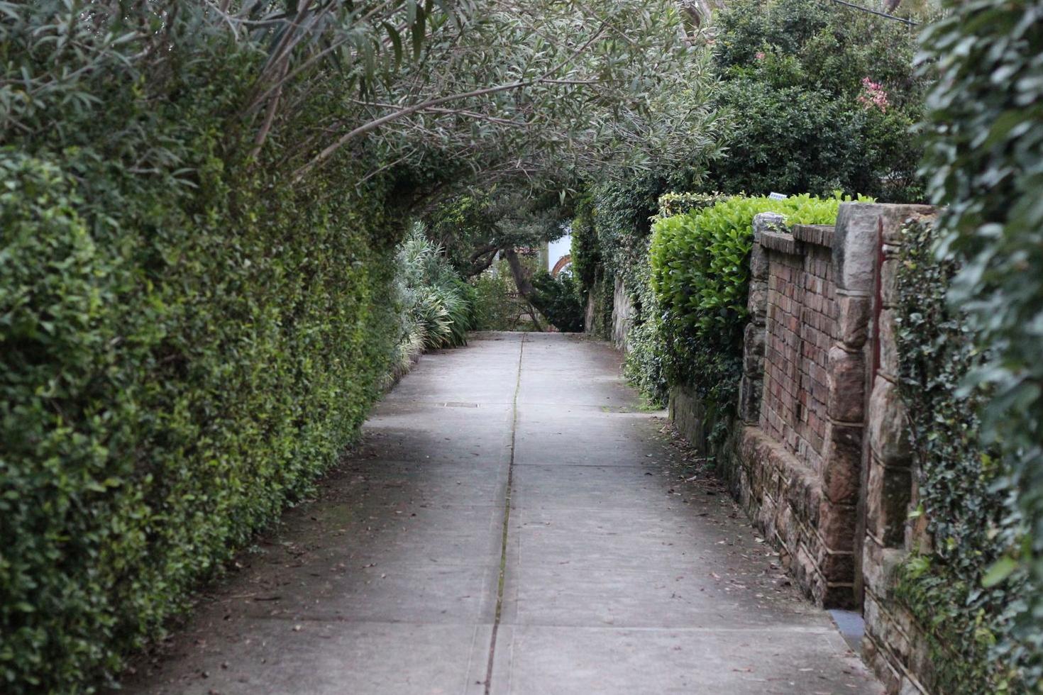 Manicured Sydney sidewalk