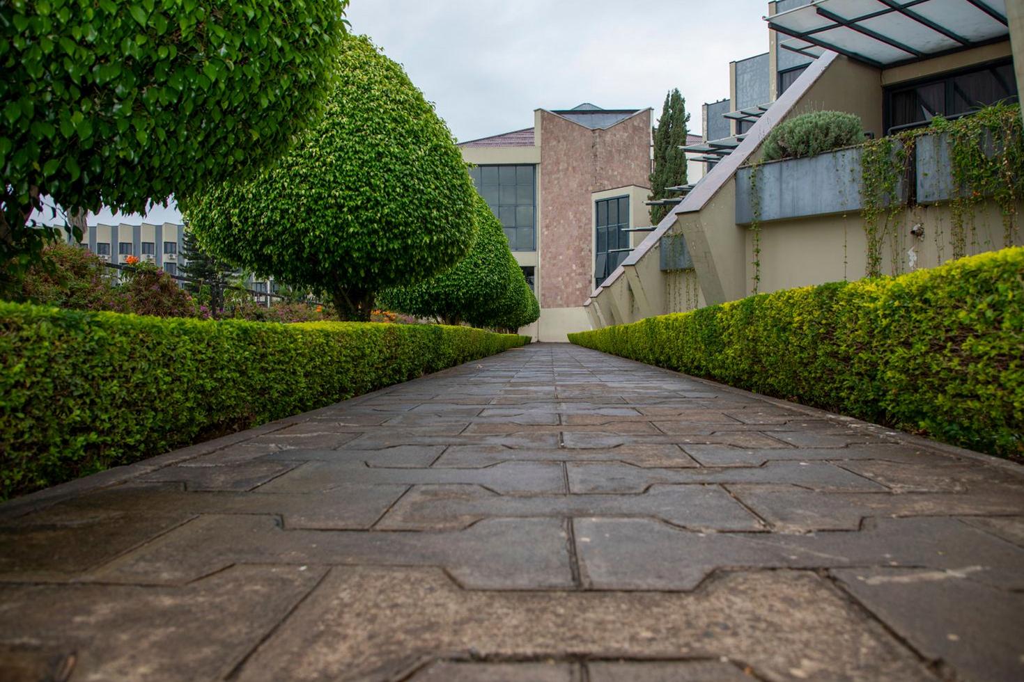 Modern Landscaping