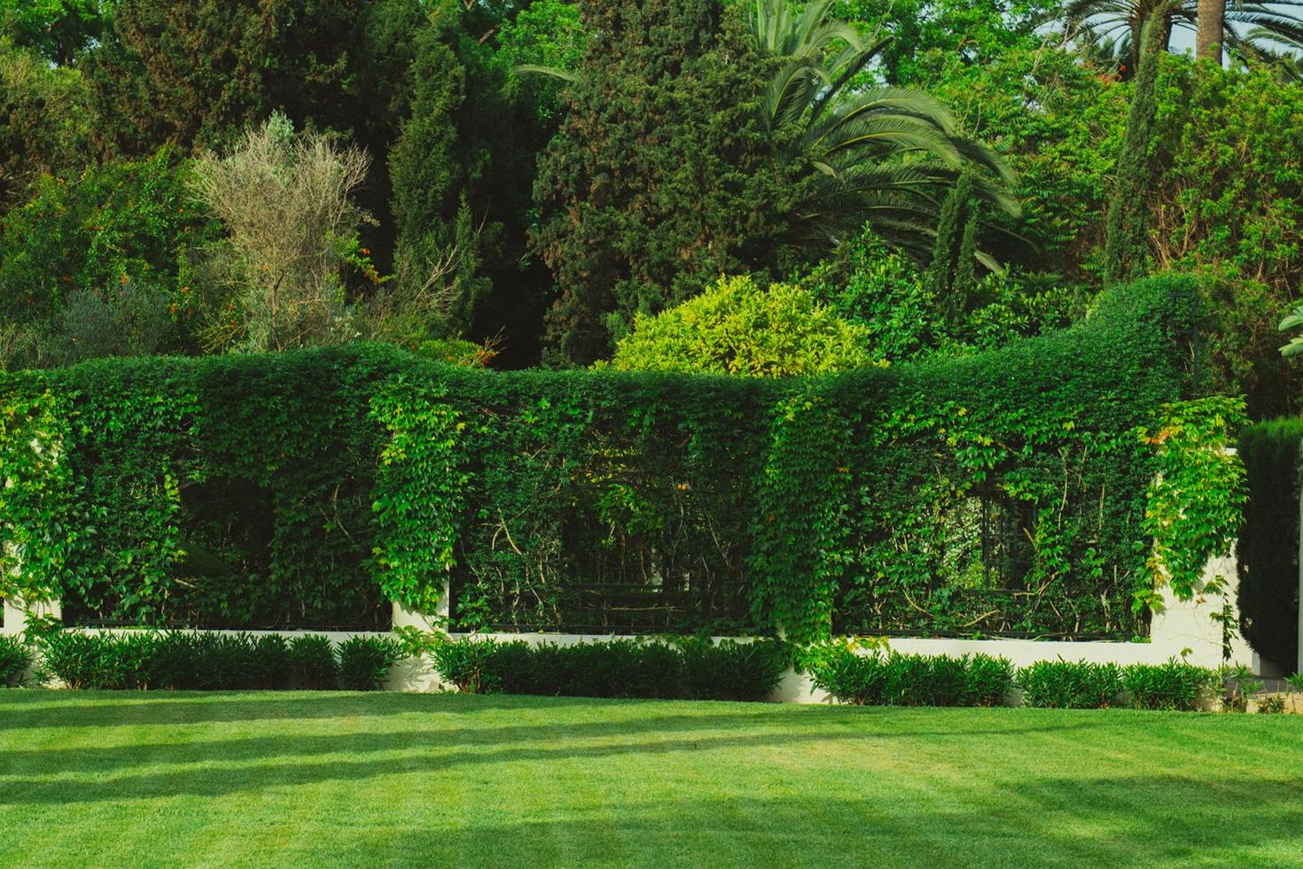 Lawn Maintenance