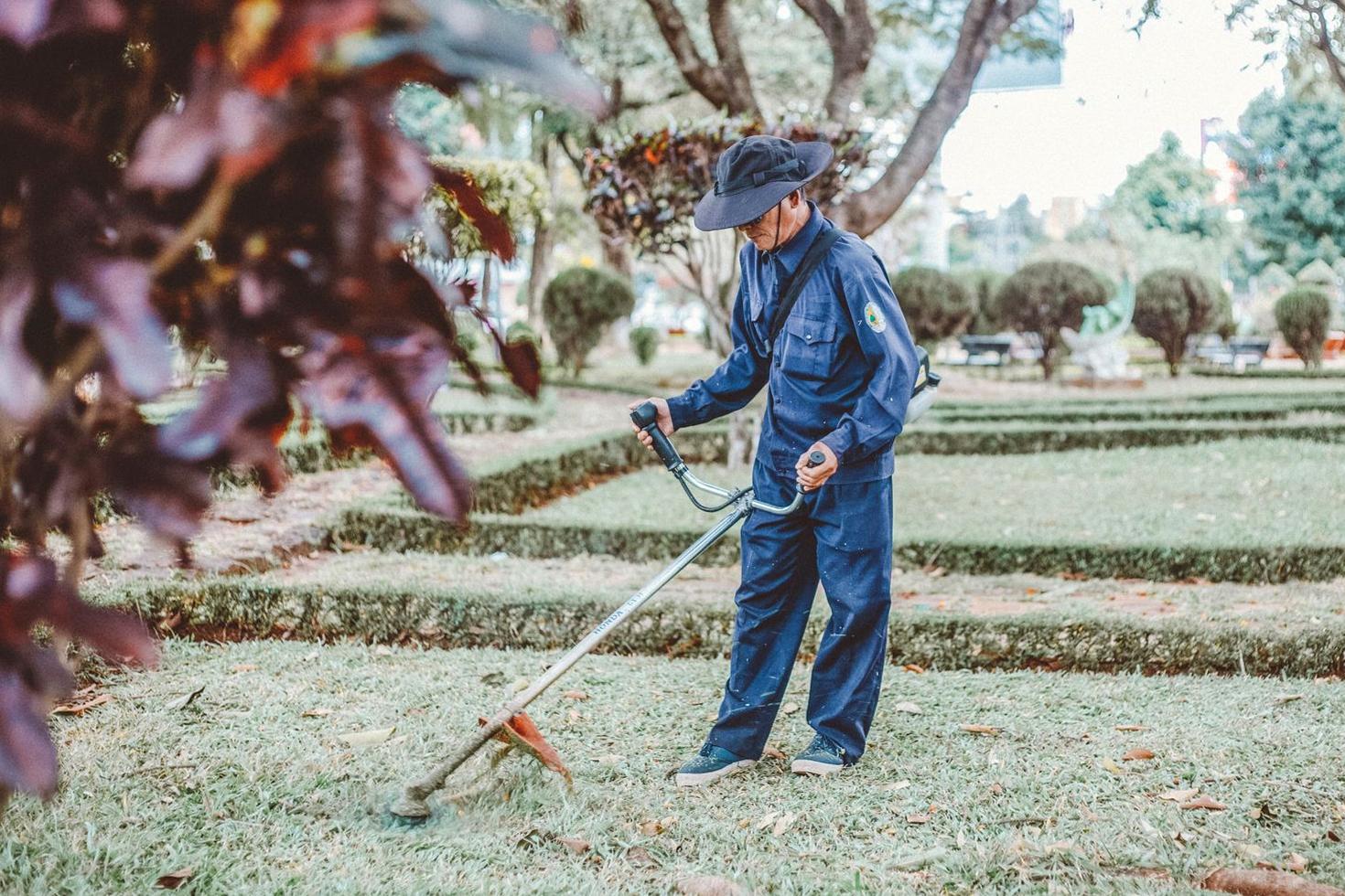 Professional gardener maintaining a Sydney landscape