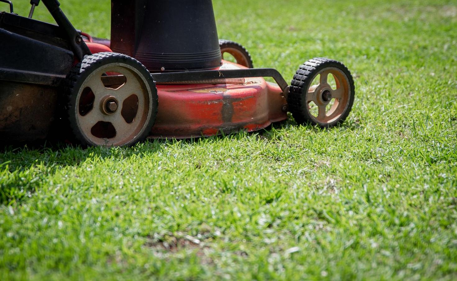 Lawn Mowing Service