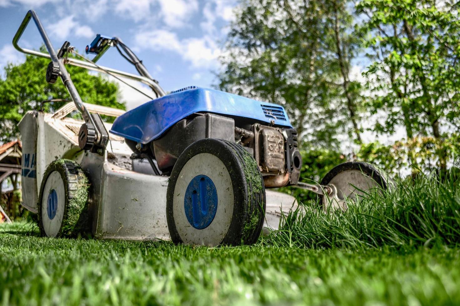 Lush Green Lawn